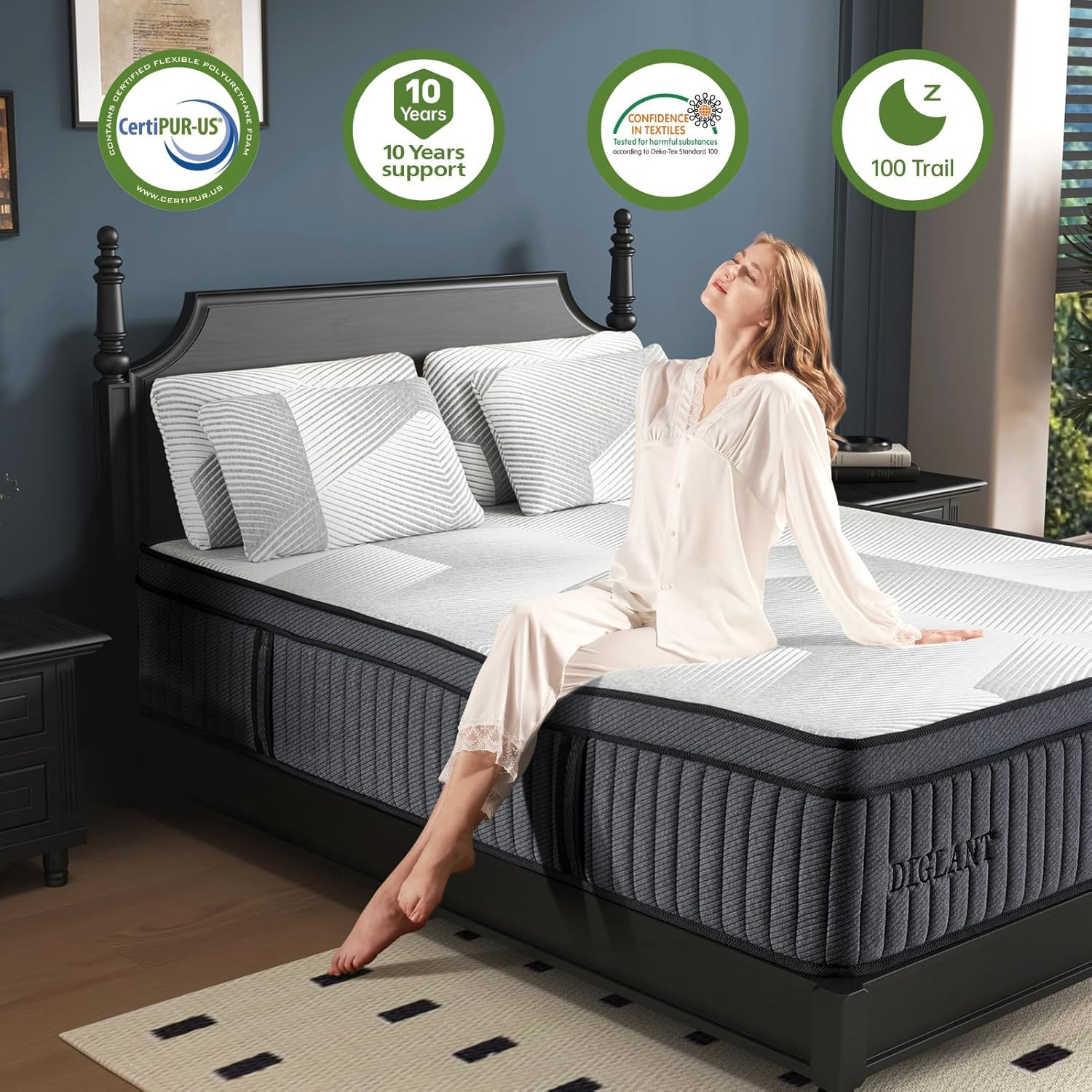 California King Mattress, 14 Inch Hybrid Mattress, Plush Feel Soft Memory Foam M