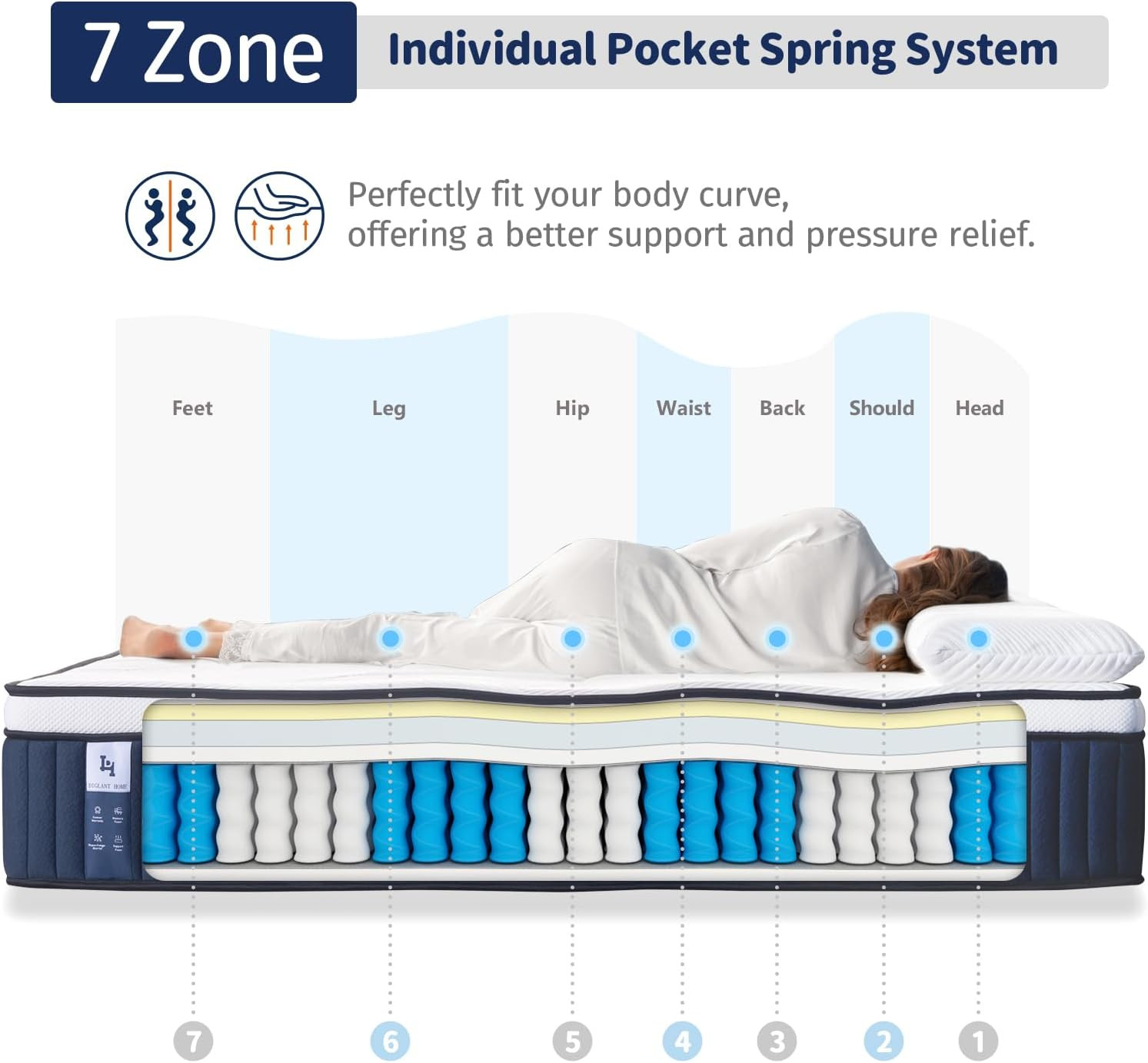 DIGLANT 14 Inch Hybrid Mattress, Medium Plush Feel Memory Foam Euro Top Mattress