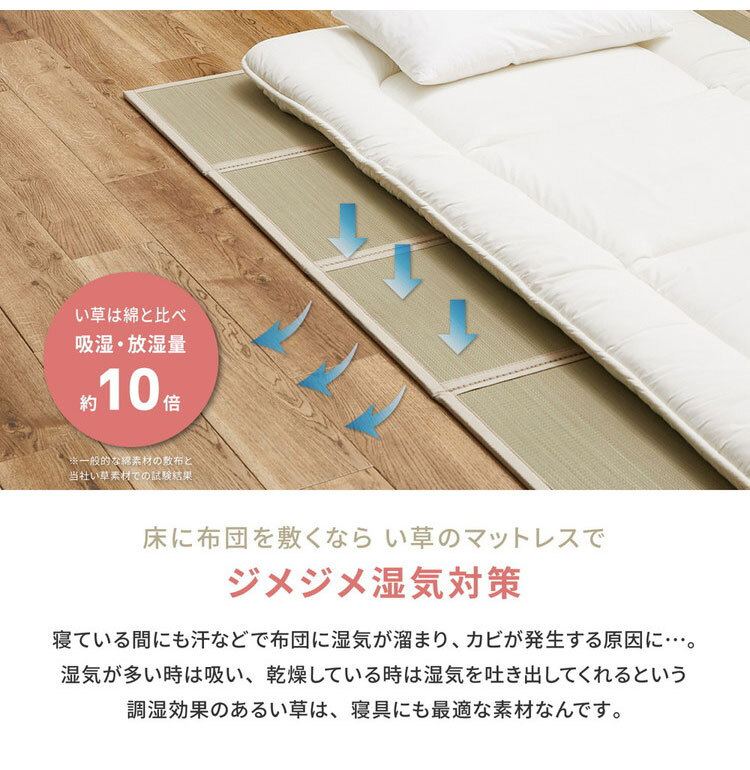 HAGIHARA Tatami Mattress Japanese rush grass Futon mat Foldable Beige from Japan
