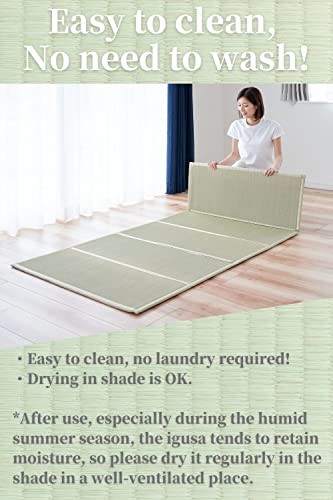 Japanese Tatami Mat (Igusa Mattress), Foldable, Rush Grass, Floor Queen XL
