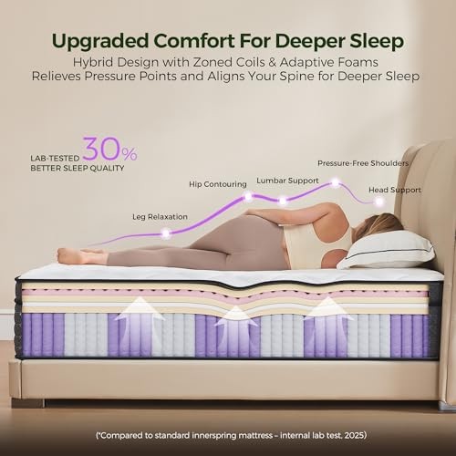 12 Inch Queen Mattress in a Box: Hybrid Memory Queen (U.S. Standard) 12 Inches