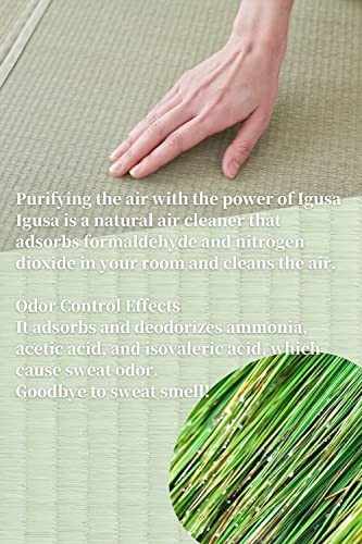 Japanese Tatami Mat (Igusa Mattress), Foldable, Rush Grass, Floor Queen XL