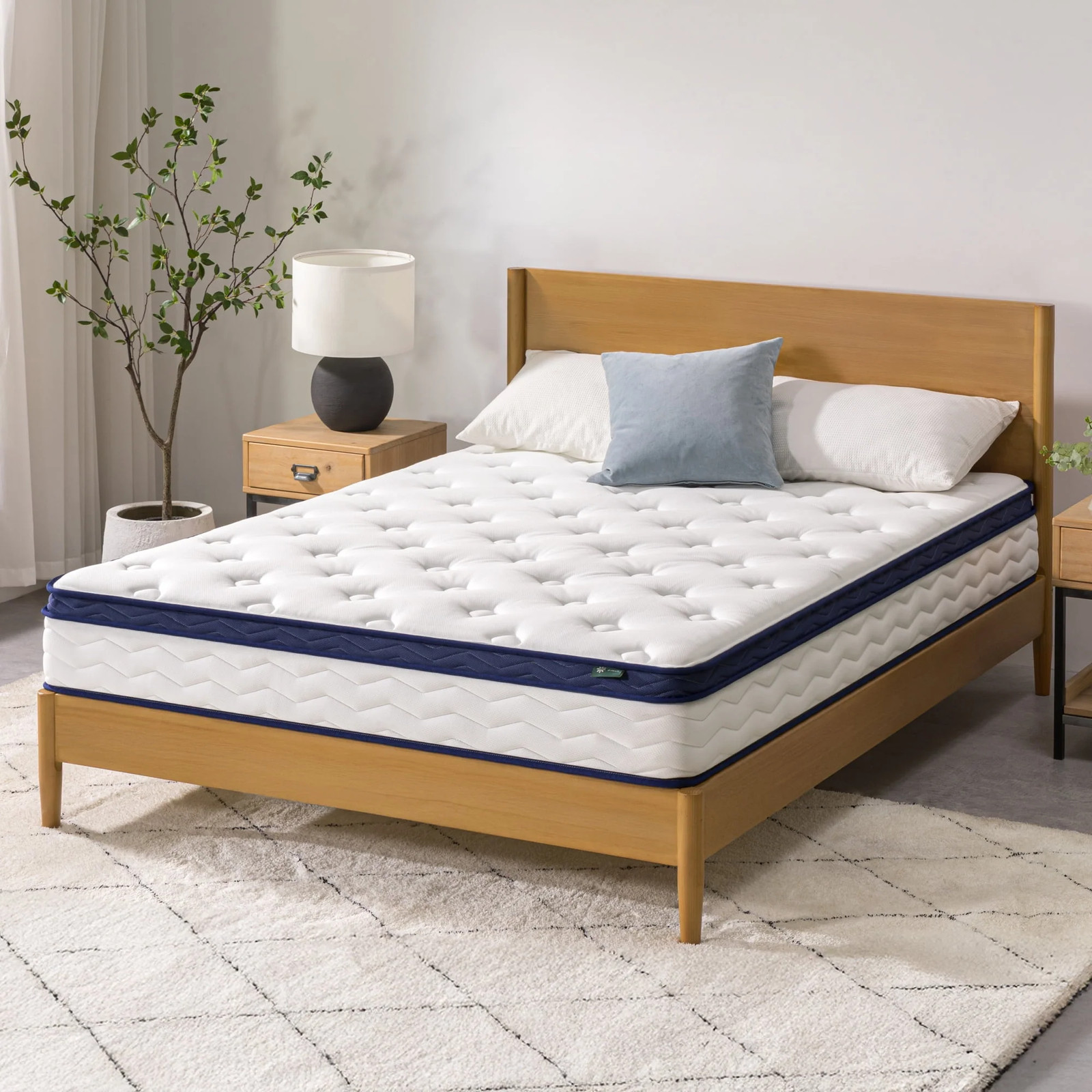 10 Pocket Coil Euro Top Hybrid Mattress, Medium Firm, Queen