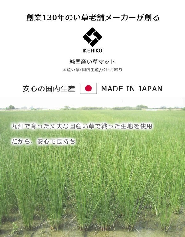 Tatami Mat Small Bird Pattern Japanese Rush Grass Made in Japan 70 x 120cm NEW