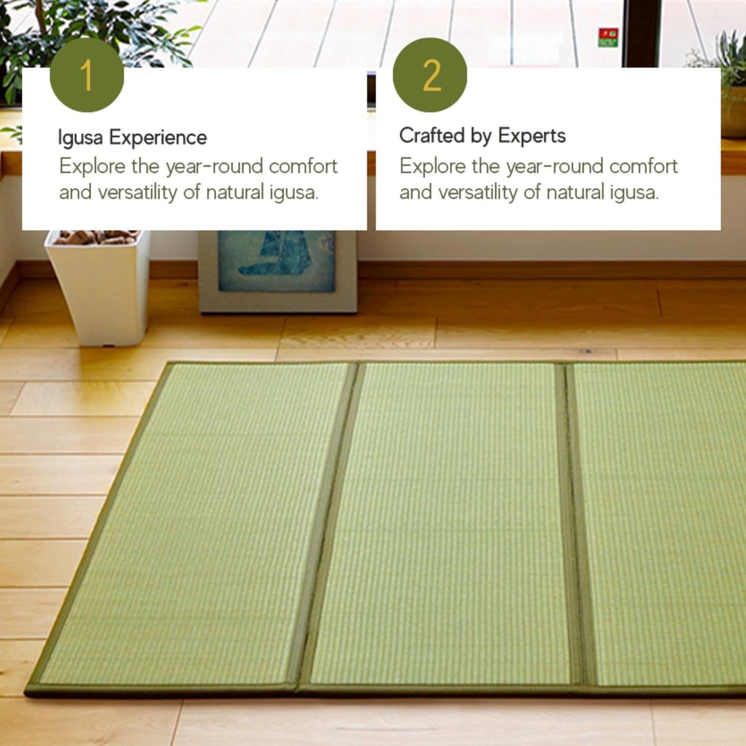 Japanese Traditional Tatami Mat, Igusa (Rush Grass) Floor Mattress, Futon, 55…