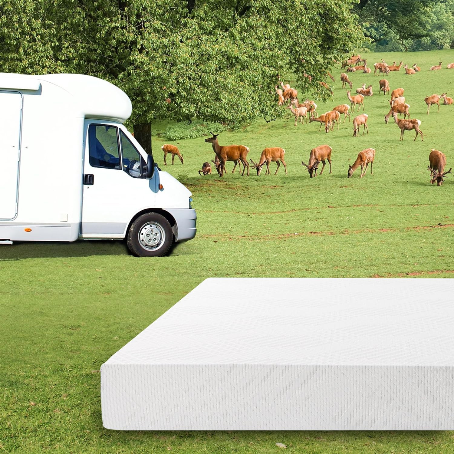 EGO White 8 Inch Short Queen Memory Foam RV Mattress, Cooling Gel Green Tea Matt