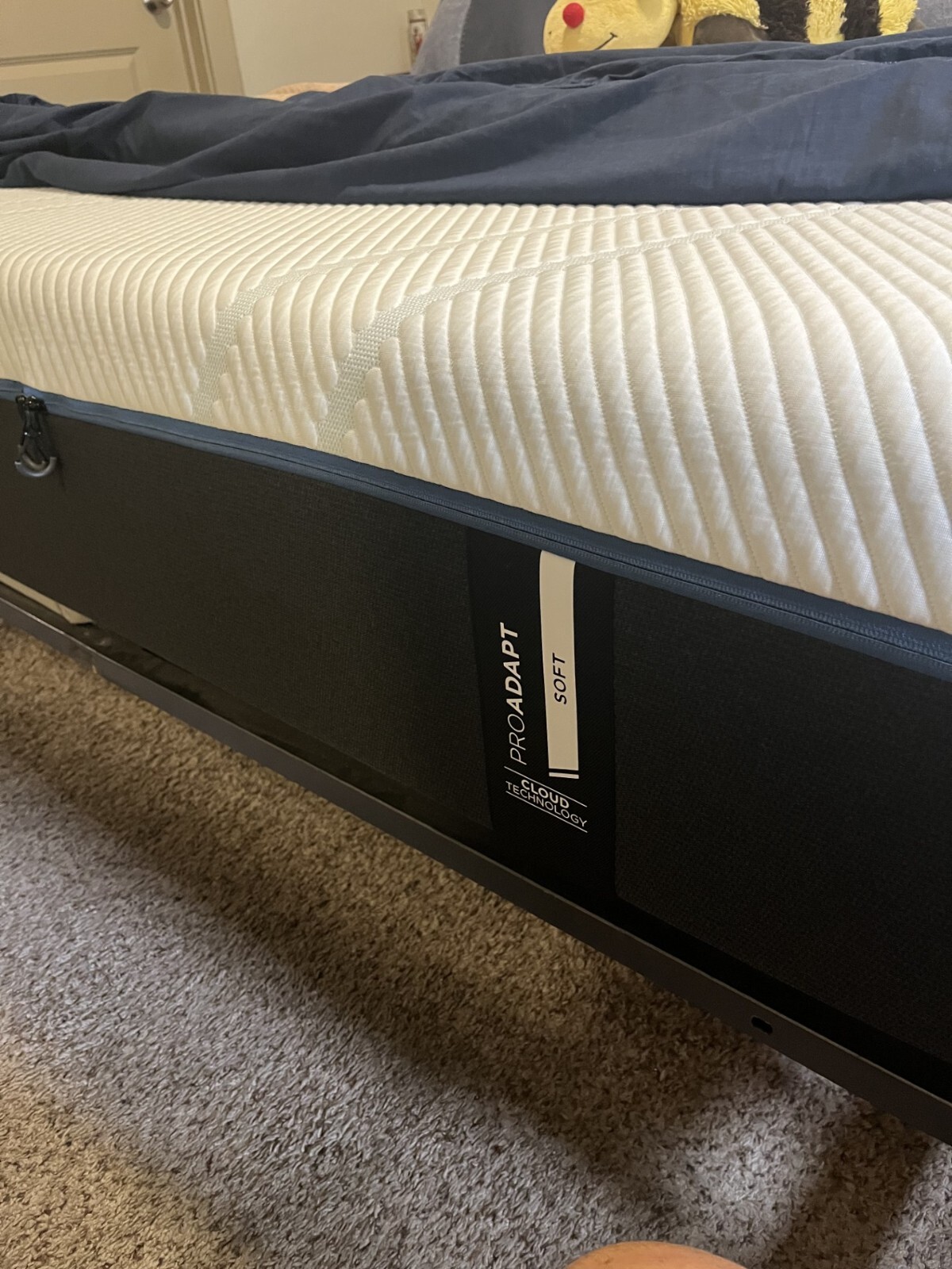TempurPedic CLOUD LUXE SOFT 13.5″ MATTRESS King Size $6299.00 FREE SHIPPING