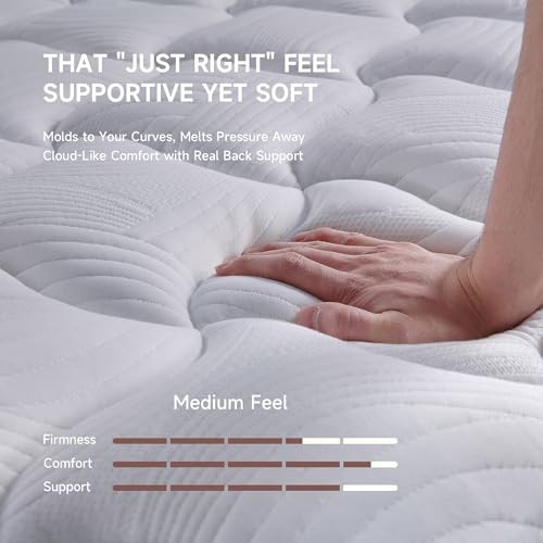 Size Mattress,12 Inch Hybrid Mattress in a Box with Memory Foam Queen Modern
