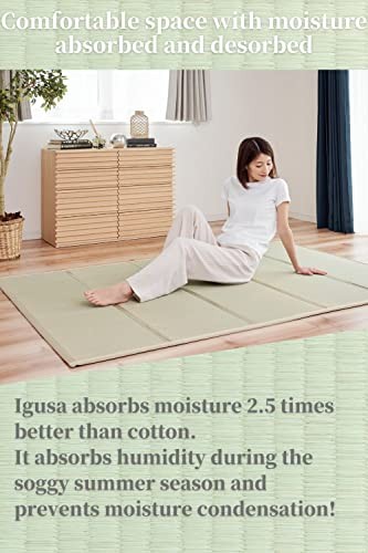 Japanese Tatami Mat (Igusa Mattress), Foldable, Rush Grass, Floor Queen XL