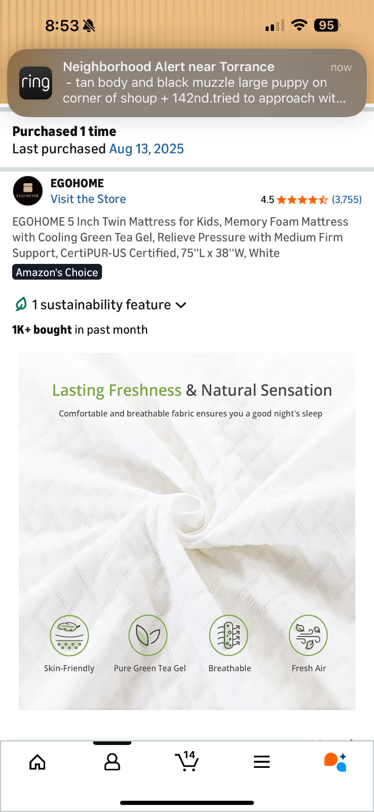 5 Inch Twin Mattress for Kids, Memory Foam Mattress with Cooling Green Tea Ge…