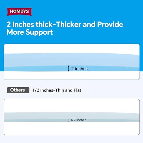 60″ L High Density Sagging Mattress Support, 2″ Thick Foam 60″L x 23″W x 2″D