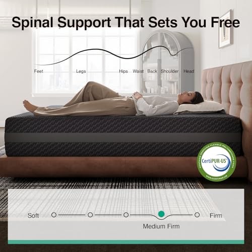 Queen Mattress Queen Gel Memory Foam Mattress Queen (U.S. Standard) 12 Inch
