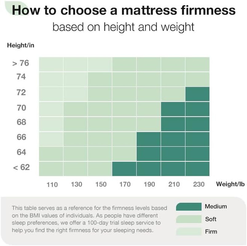 10 Inch Flippable Full Size Foam Mattress for Back & Side Sleepers