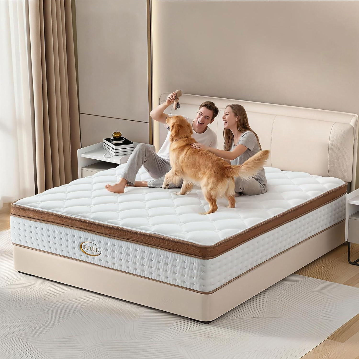 Queen Size Mattress 14 Inch, Hybrid Mattresses in a Box, Medium Firm Individual