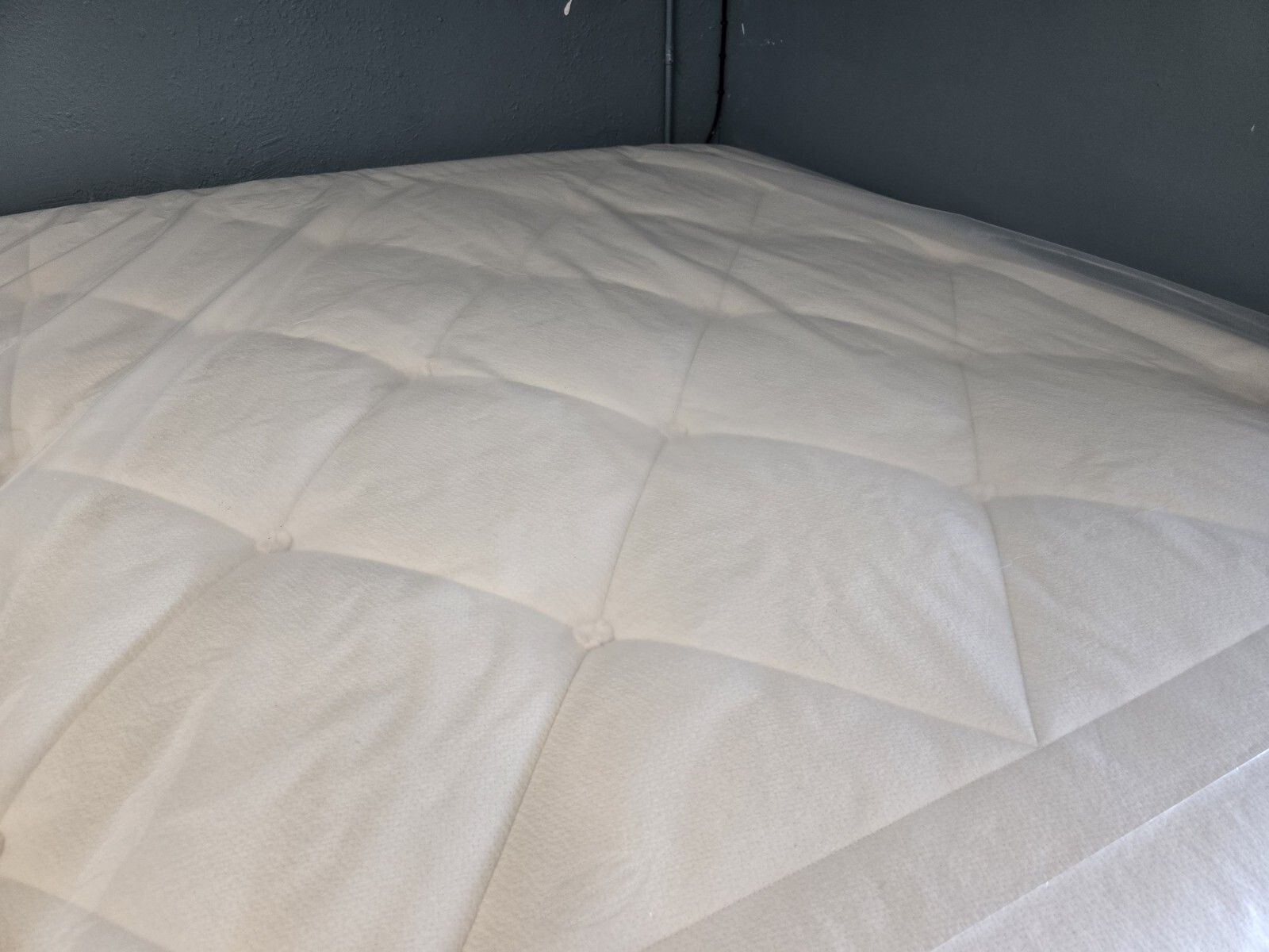 Avocado Luxury Organic Standard Medium No Pillow Top CAL-KING SIZE