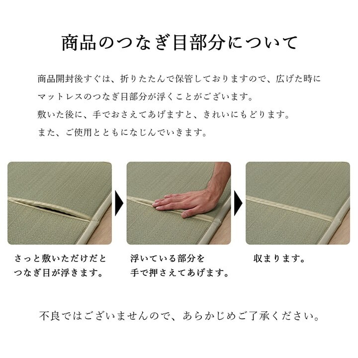 Igusa Tatami Mattress Mat Floor Compact Foldable Odor Control Japan
