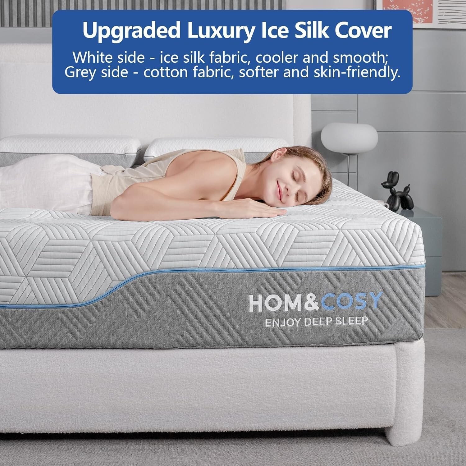 Firm Mattress Queen 14 Inch Memory Foam Mattress with Luxurious Ice Silk Cove…