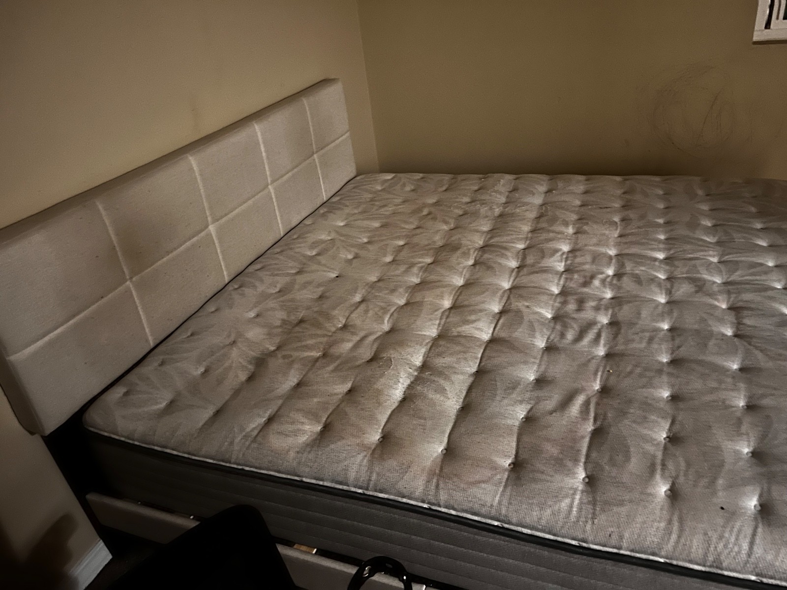Sealy Posturepedic mattress king size -spring bloom with bed frame