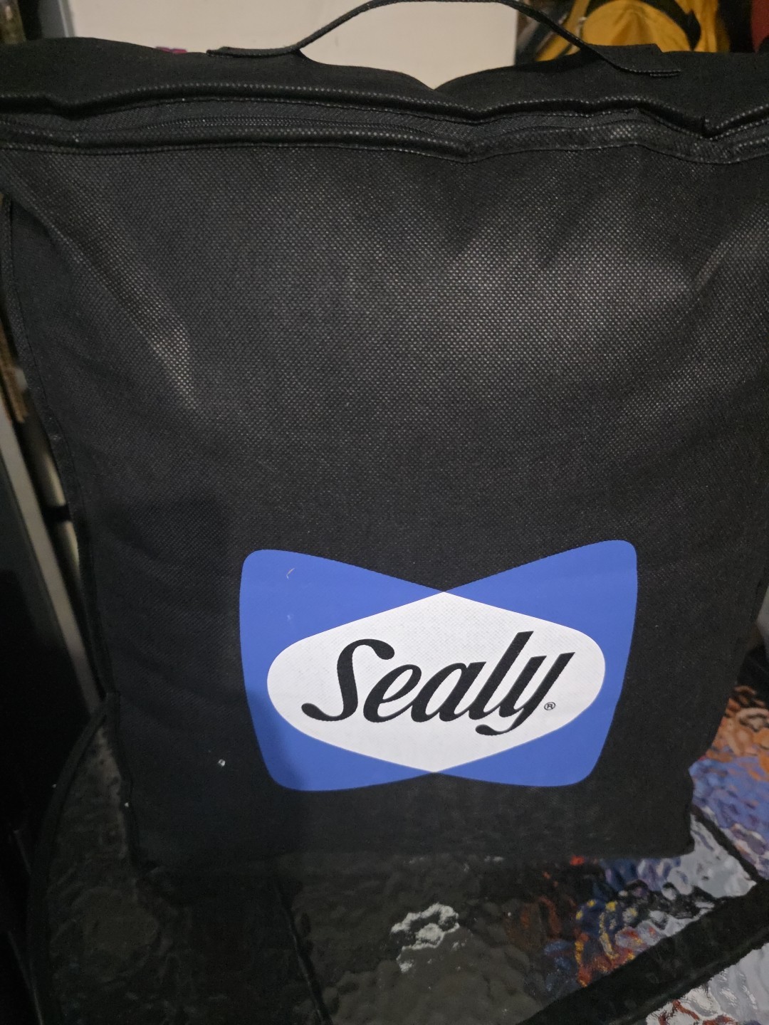 Sealy Pillow Top Extra Plush Matteress Pad For Twin Size