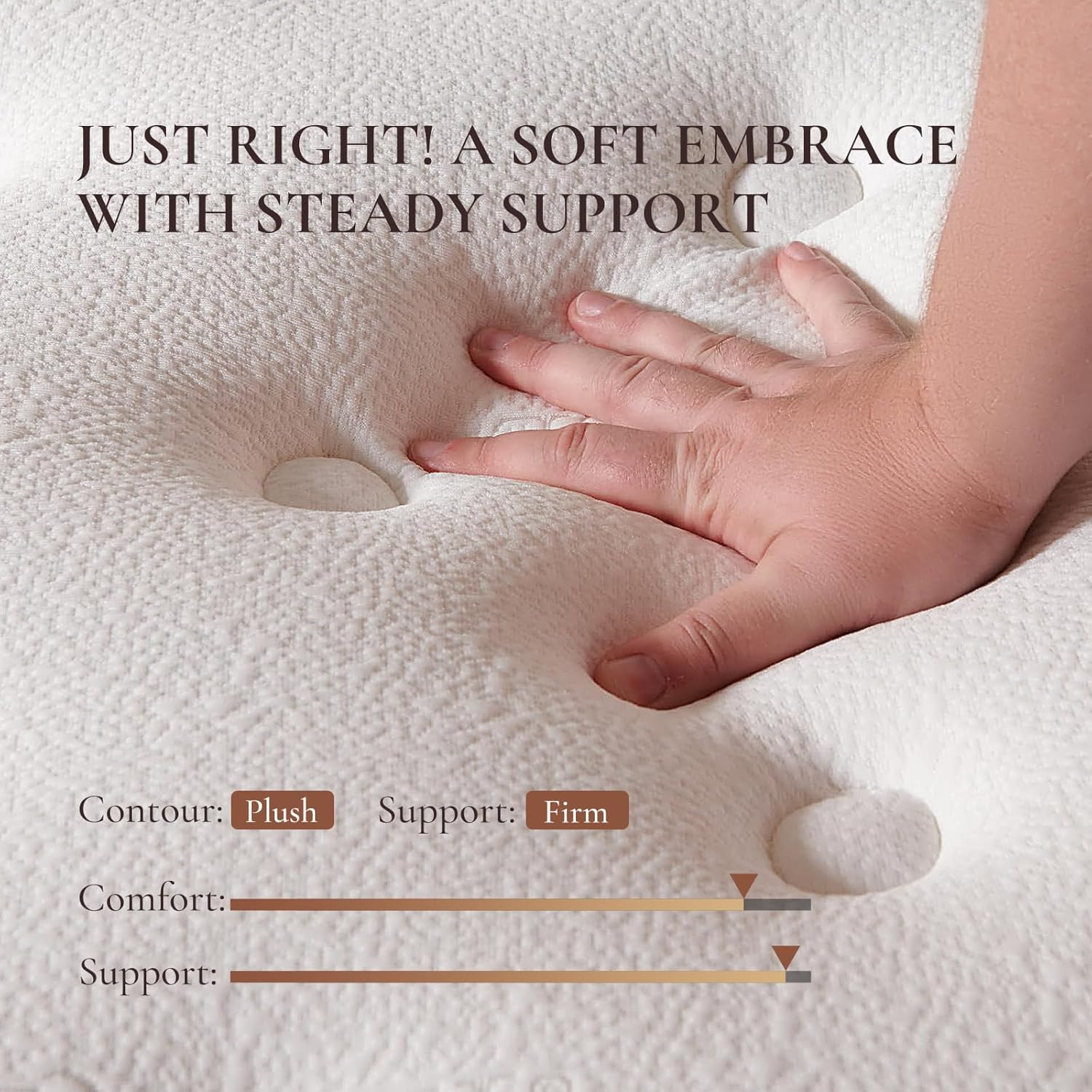Queen 14″ Hybrid Mattress Fiberglass Free Memory Foam Bed