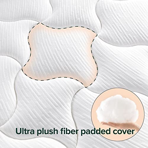 ZINUS 12 INCH CLOUD MEMORY FOAM MATTRESS QUEEN AZ-CMM-12Q – WHITE
