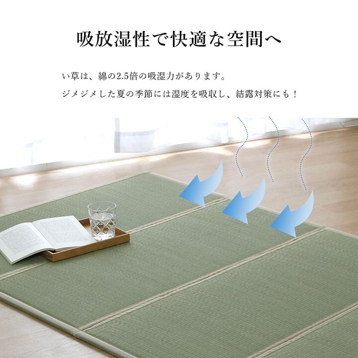 Igusa Tatami Mattress Mat Floor Compact Foldable Odor Control Japan