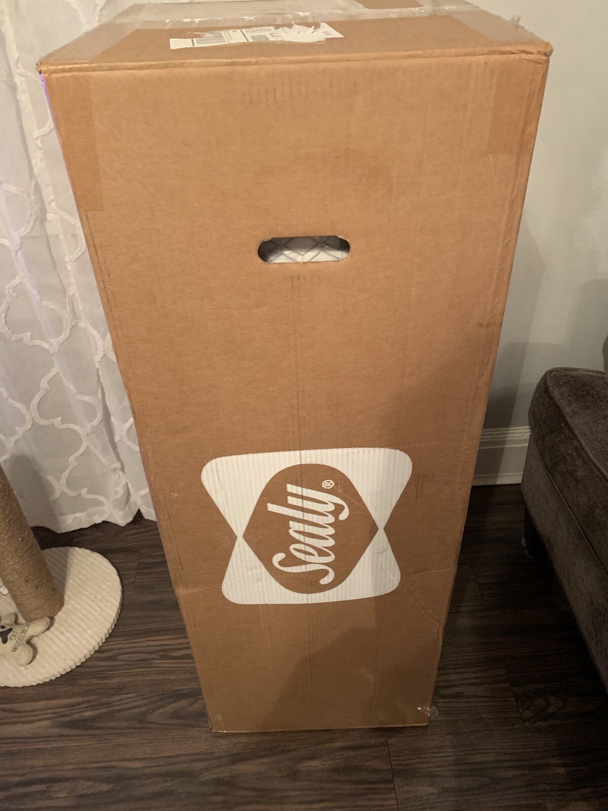 Sealy – COOL & CLEAN 8″ MEMORY FOAM Twin XL – White Model F03-00178-TX0