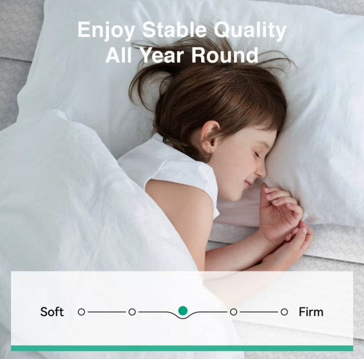 Avenco CozyNest 6″ Twin Size Medium Supportive Innerspring Mattress Twin