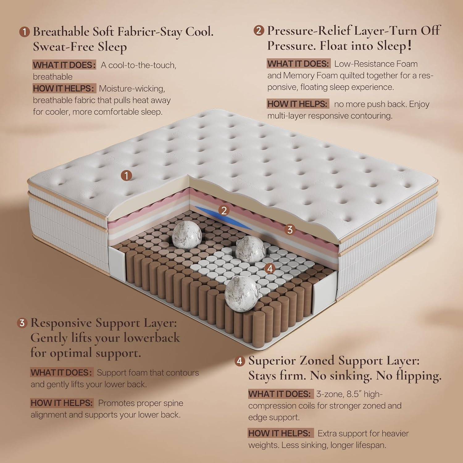 Queen 14″ Hybrid Mattress Fiberglass Free Memory Foam Bed
