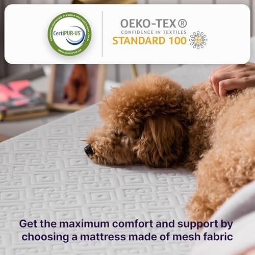 12 Inch Queen Mattress in a Box Hybrid Gel Memory Foam Pocket Spring Soft Plush