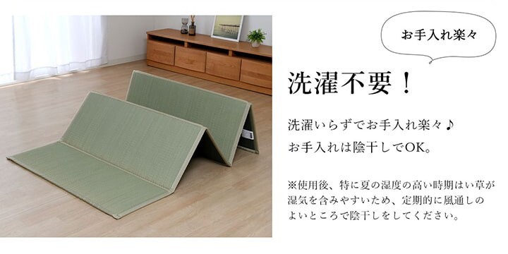 Igusa Tatami Mattress Mat Floor Compact Foldable Odor Control Japan