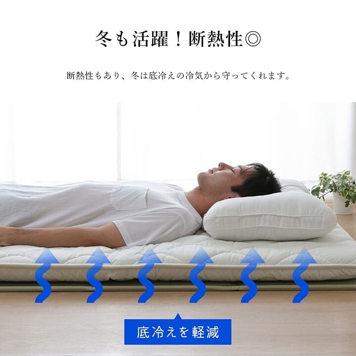 Igusa Tatami Mattress Mat Floor Compact Foldable Odor Control Japan
