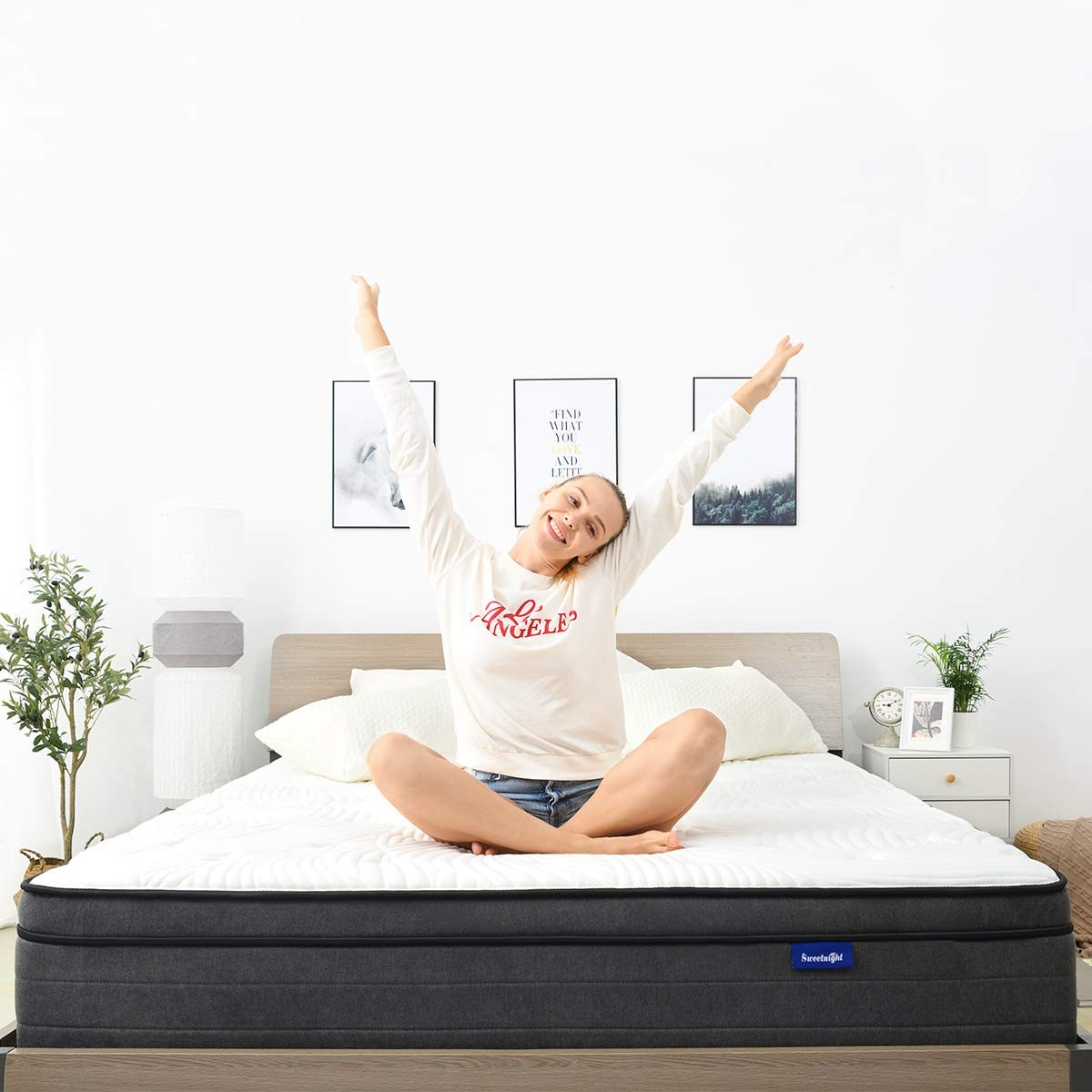Queen Mattress in a Box – 12 Inch Plush Pillow Top Hybrid Mattress, Gel Memor…