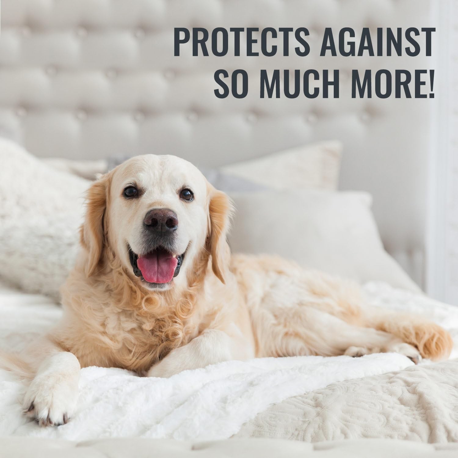 DMI Waterproof Mattress Protector and Cover, Encased Full, White