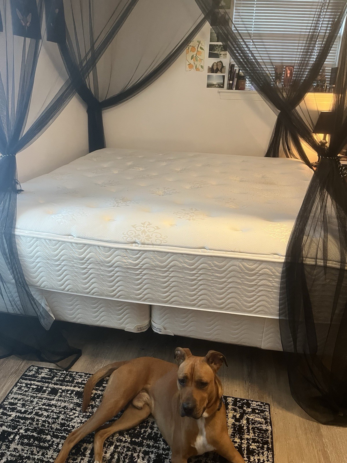 Sutherland Serenity King Bed