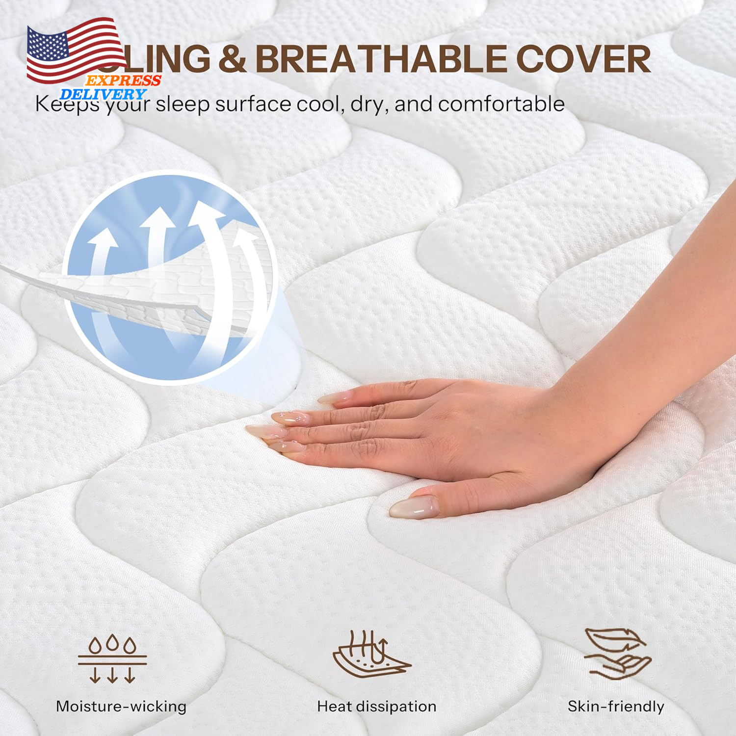 12″ Hybrid Queen Mattress Queen Size Mattresses in a Box