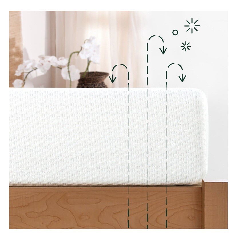 Spa Sensations by Zinus Serenity 6″ Memory Foam Mattress, Queen
