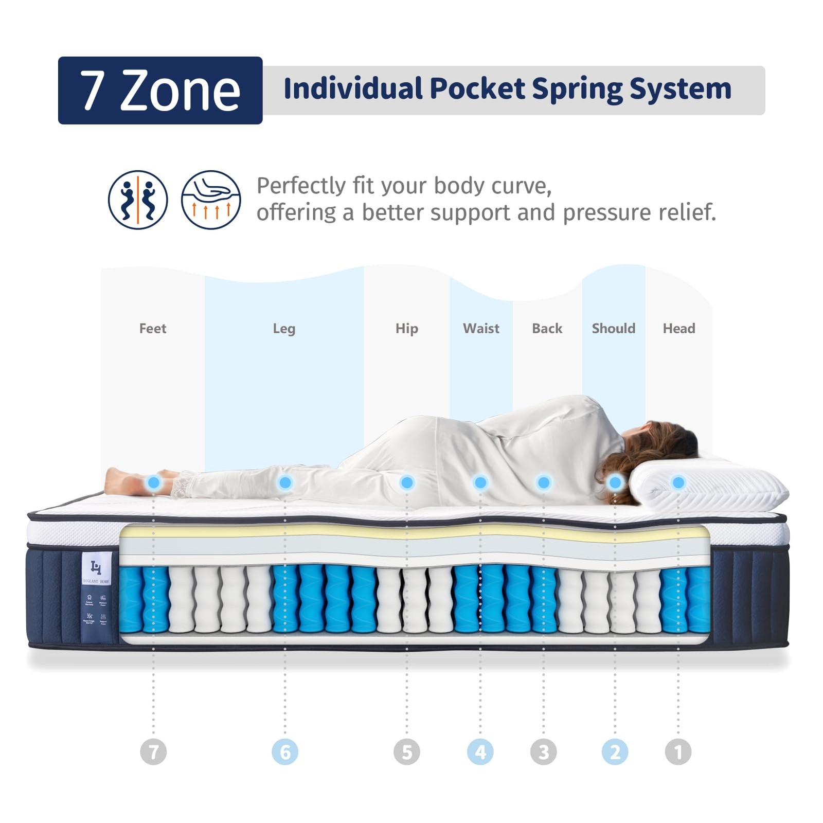 DIGLANT 14 Inch Hybrid Mattress, Medium Plush Feel Memory Foam Euro Top Mattr…