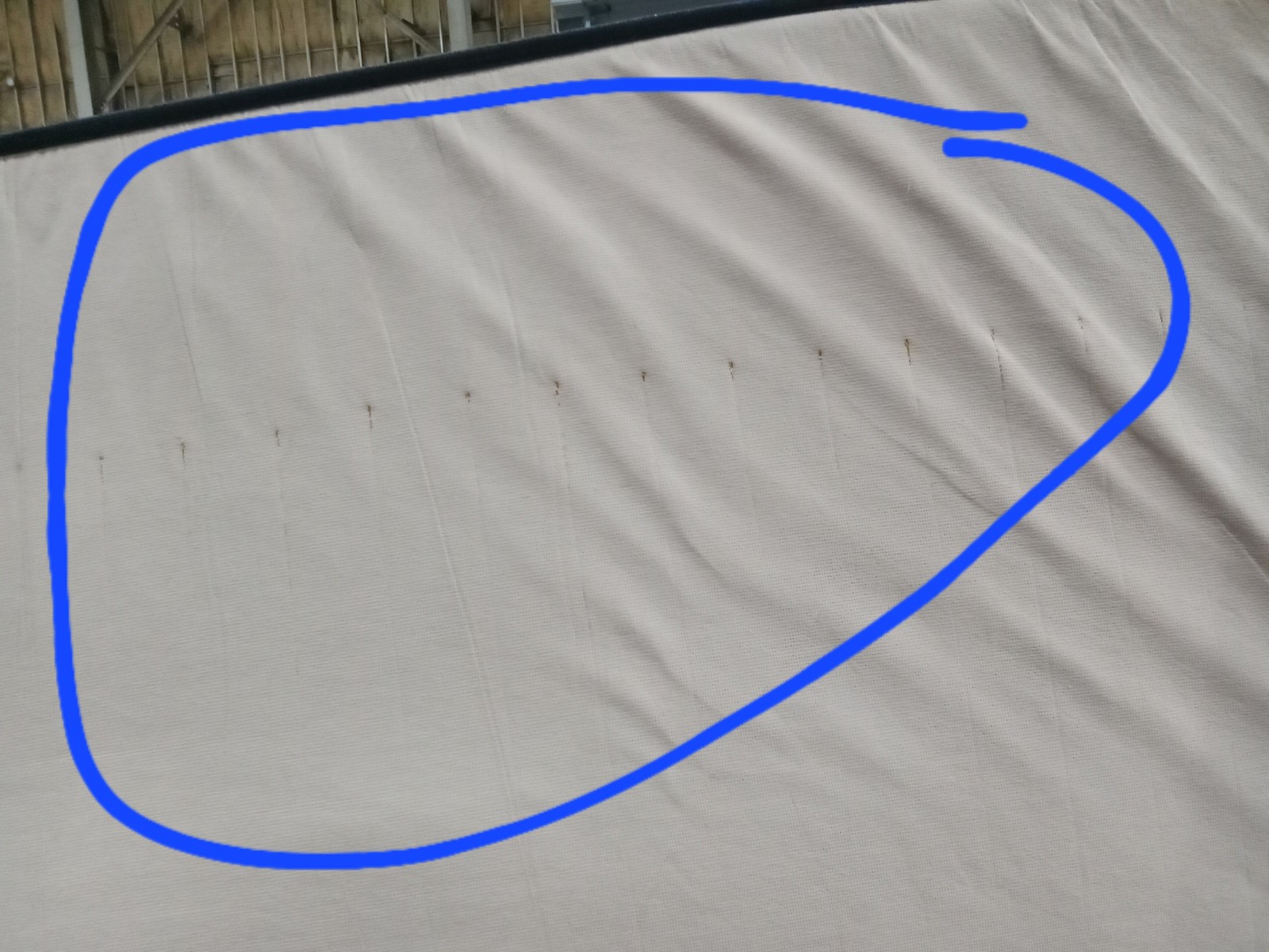 Serta | Perfect Sleeper | 11″ Mattress