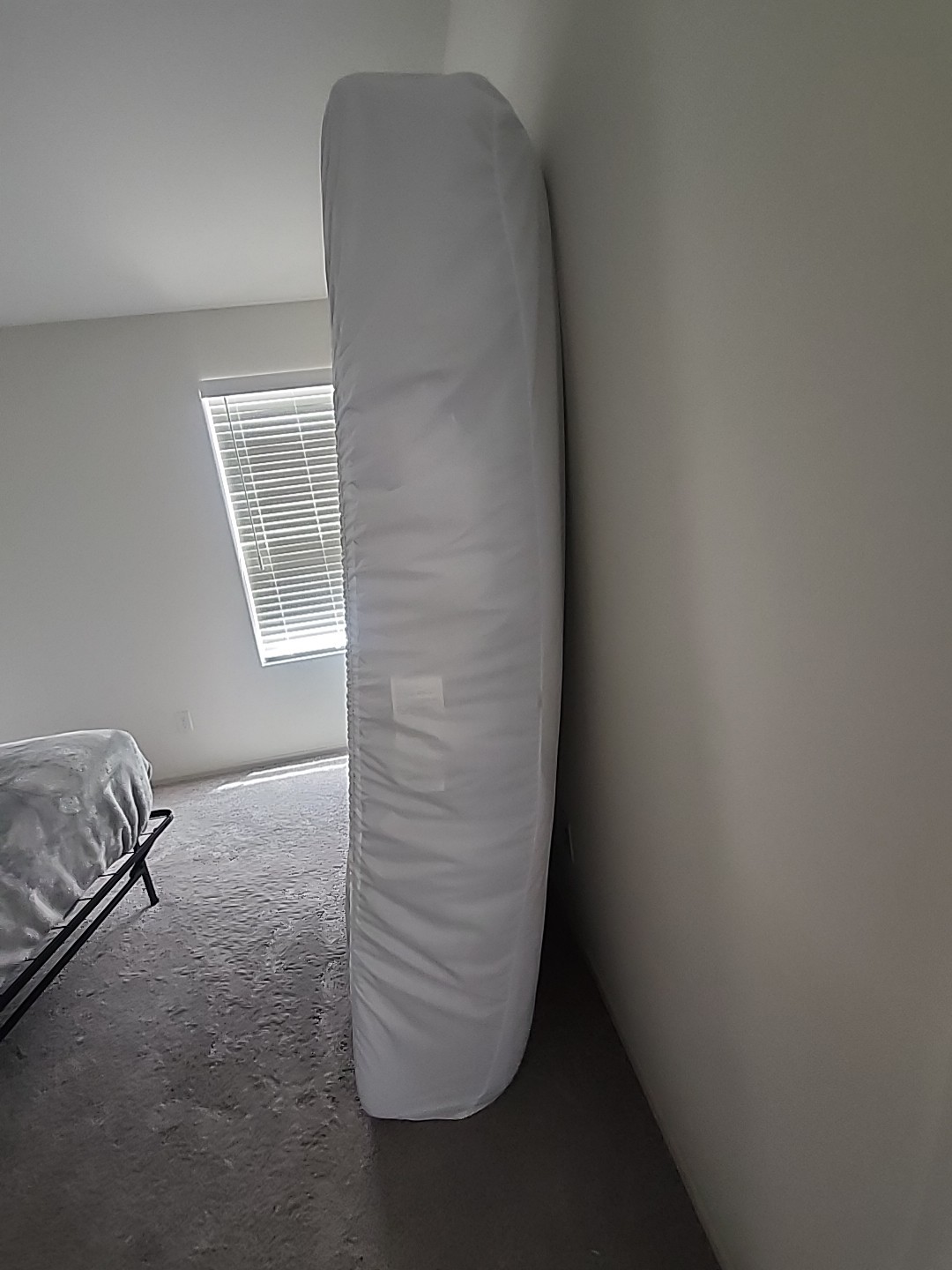 new Beauty Sleep Matress