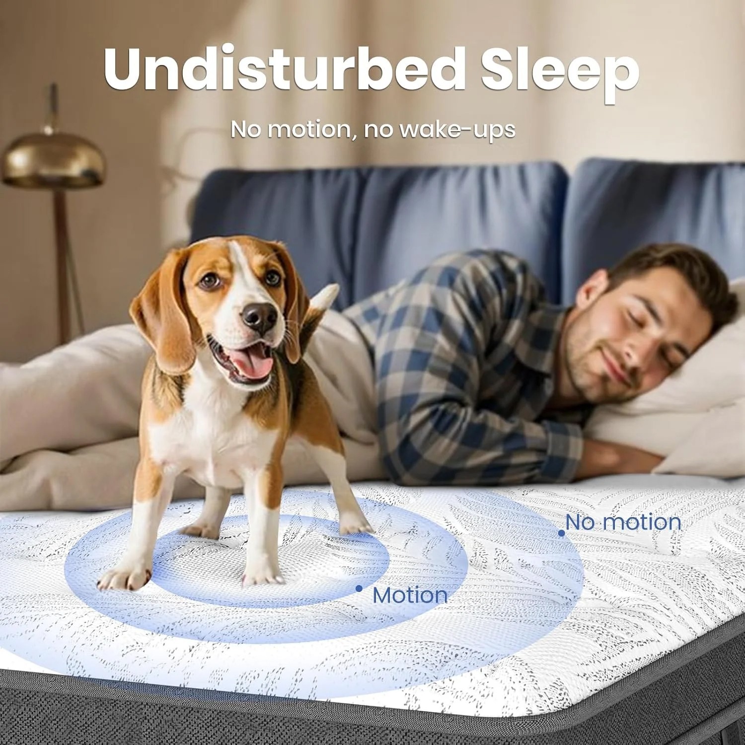 14″ Queen Size Mattress Hybrid Foam Pocket Coils Bed In a Box,Motion Isolation