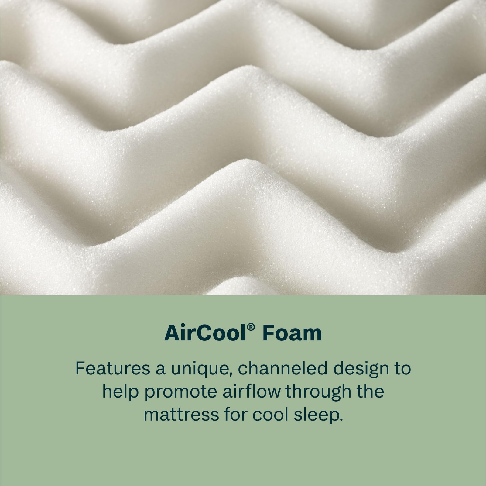 BeautySleep by Beautyrest DreamRest Firm 11.5″ Twin Mattress, Pocketed Coils,…
