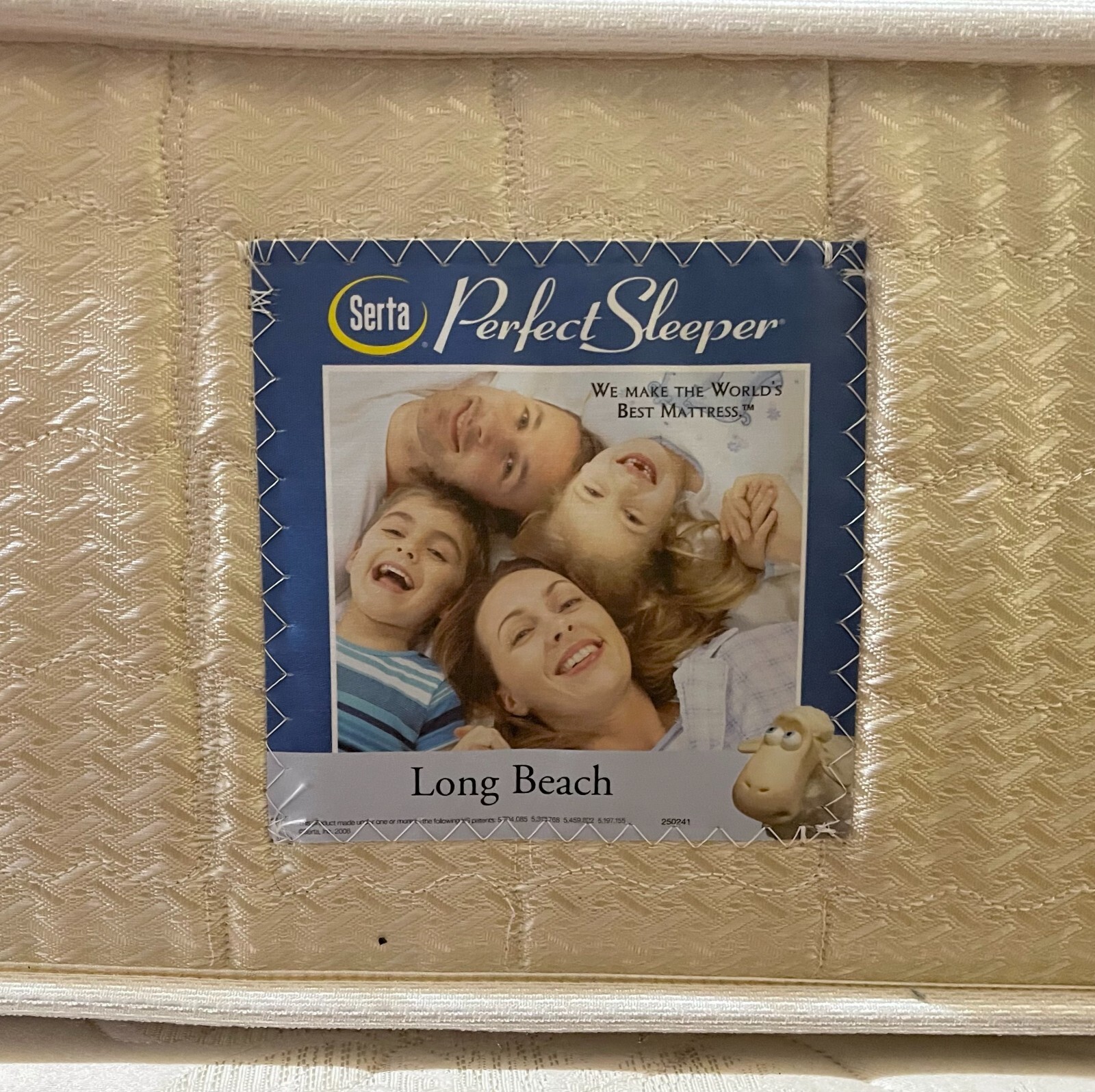 10″ Serta Perfect Sleeper Twin Sized Mattress, Metal Bed Frame Included