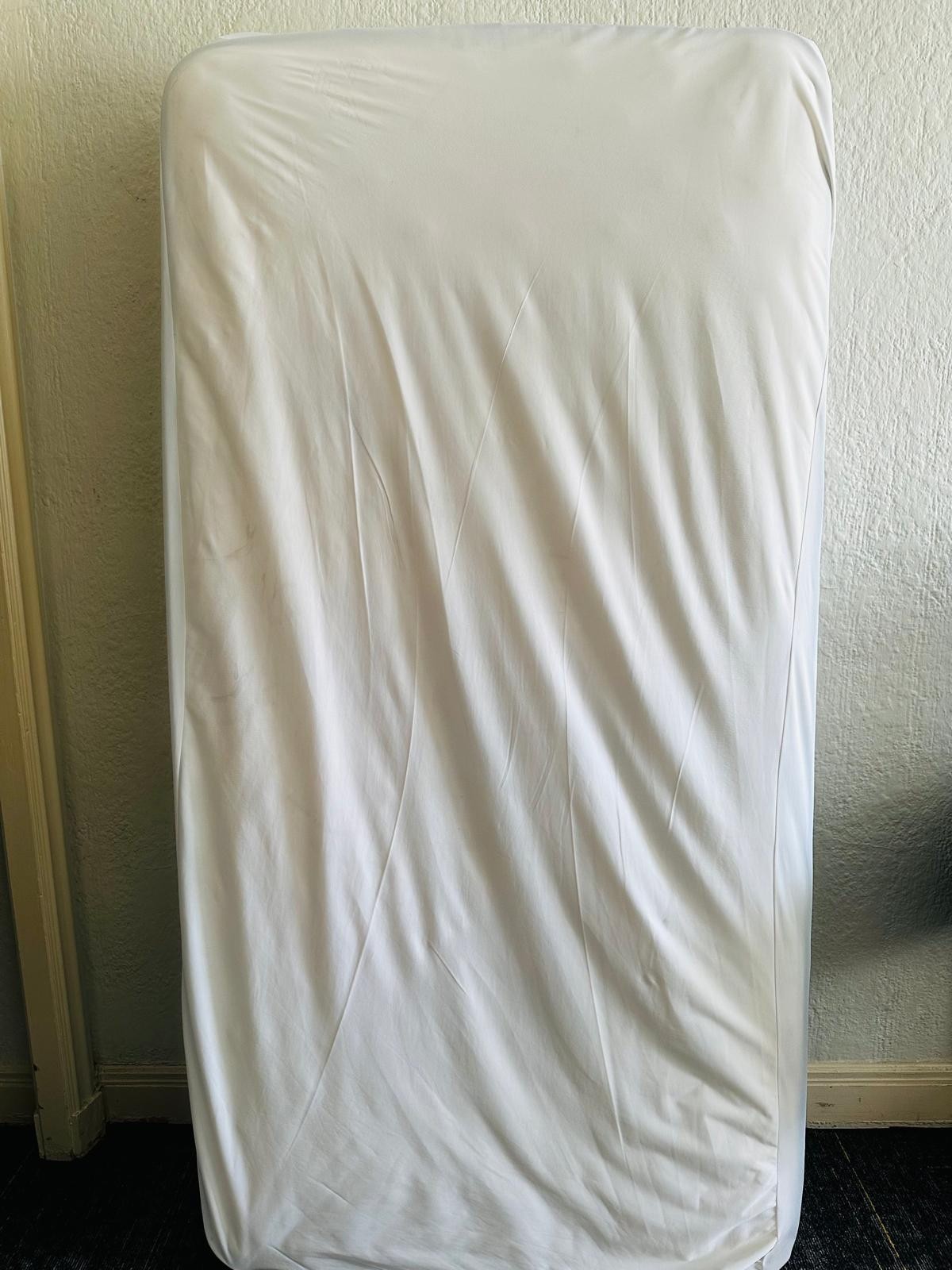 Twin Size Spring Mattress + Bug Cover + Pillow