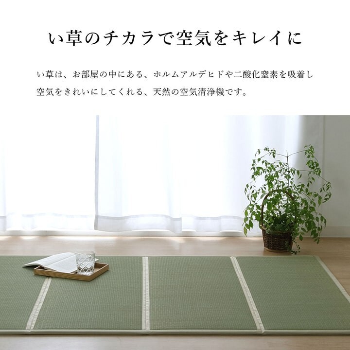 Igusa Tatami Mattress Mat Floor Compact Foldable Odor Control Japan