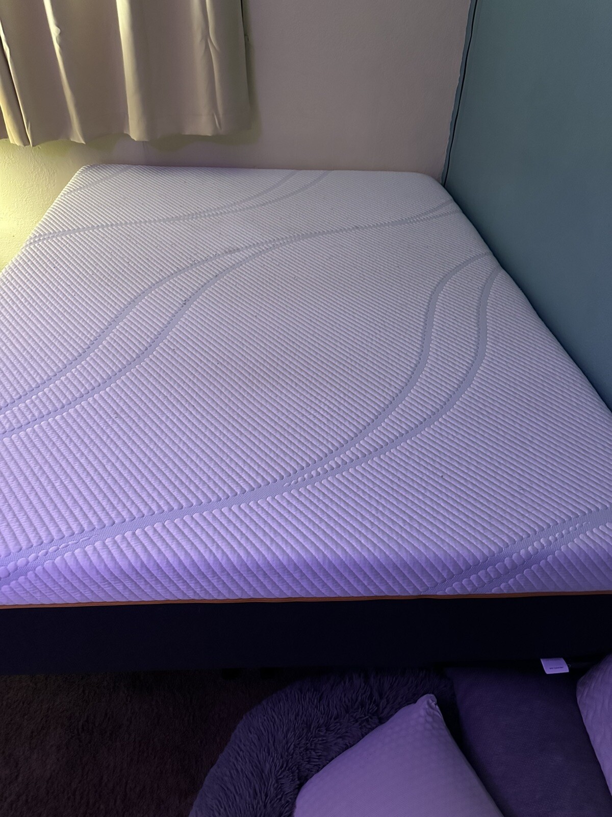 TempurPedic PRO ADAPT FIRM QUEEN MATTRESS USED Only 1 Year CLEARANCE