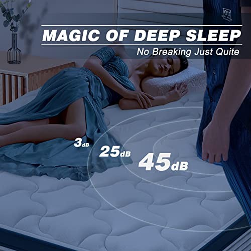 Deep Sleep Queen Mattress 10 Inch in a Box, Cloud Euro Top Soft Hybrid Mattress