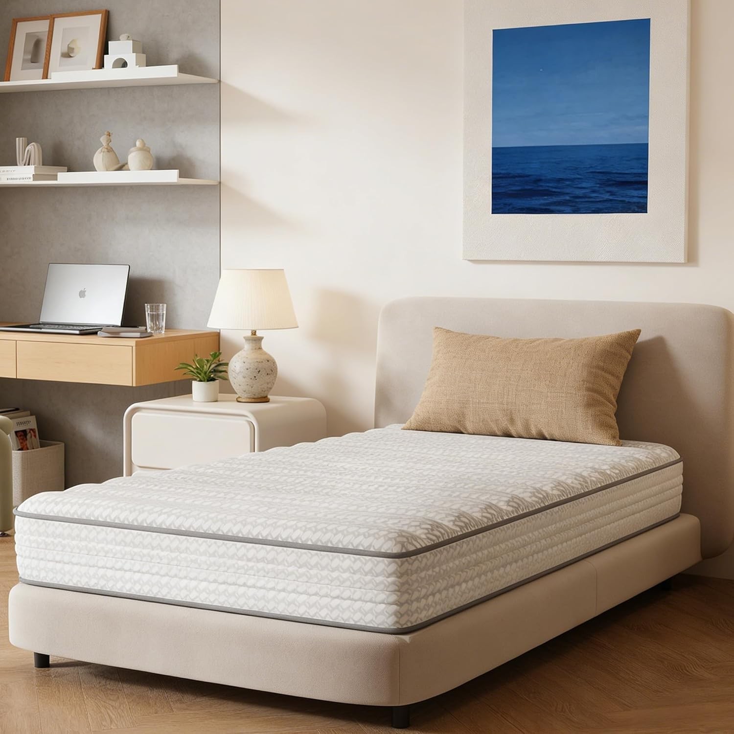 10 Inch Queen Size Mattress in a Box Hypoallergenic & Back Pain Relief Hybrid