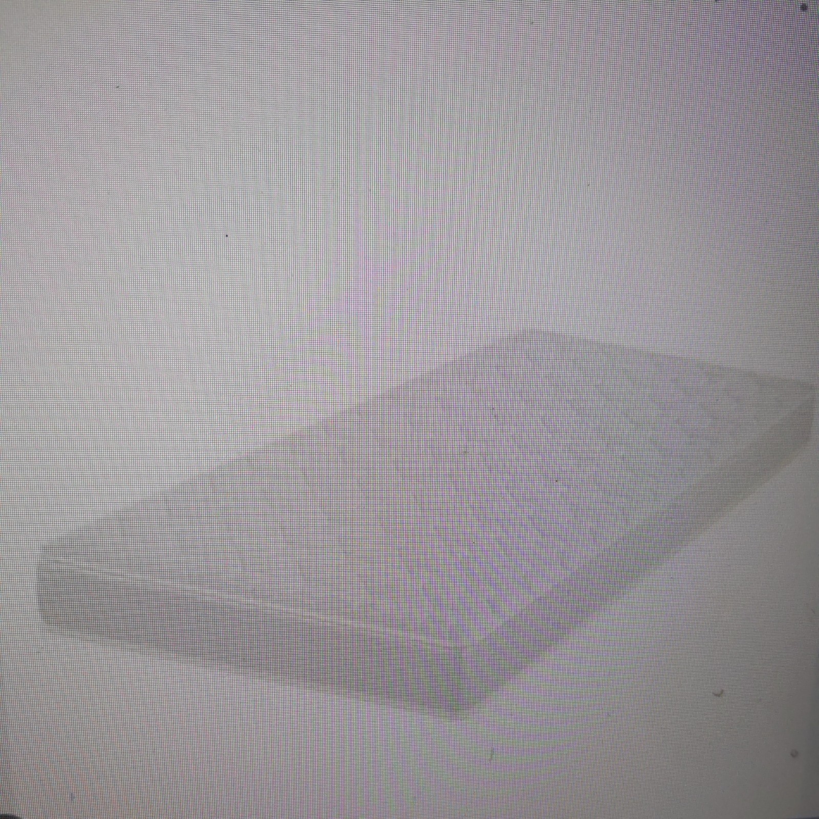 Zinus 6″ Basic Tight Top Bonnell Innerspring Mattress, Twin