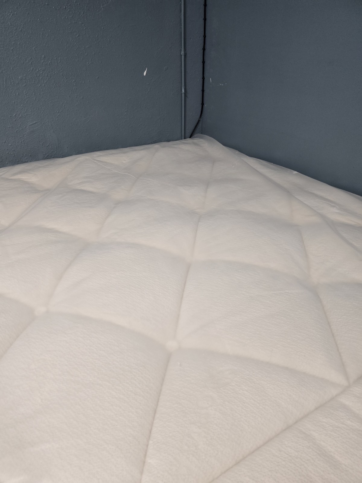 Avocado Luxury Organic With Ultra Plush Box Top King Size